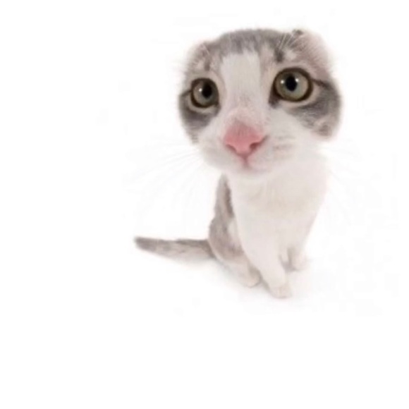 Meet your Posher, Gacha - Picture 1 of 1